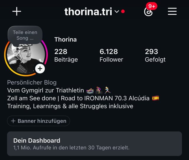 Instagram-Profil thorina.tri nachher: 228 Beiträge, 6.128 Follower, 1,1 Mio. Aufrufe in den letzten 30 Tagen